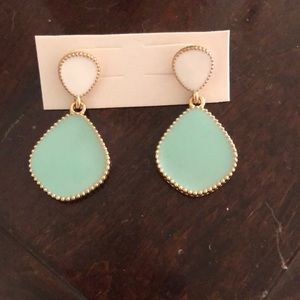 Super cute earrings from amazon